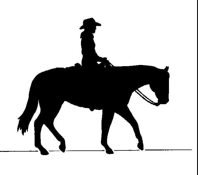 silhouette of a cowboy on a horse