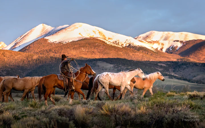 cowboy moving horses with mountains in the background.