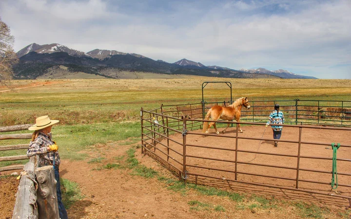 rancher running a horse in a ring while a cowgirl looks on at Music Meadows Ranch